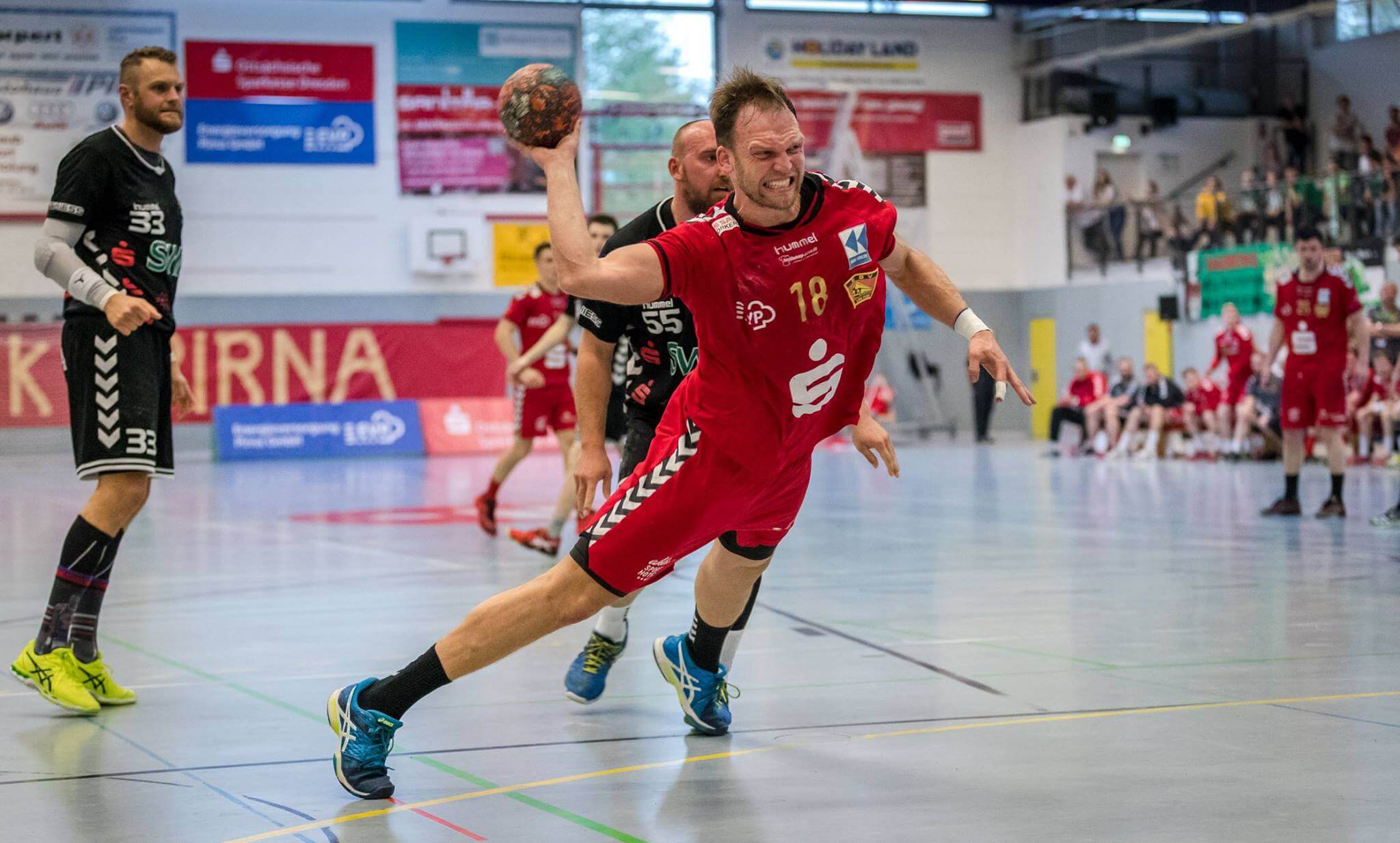 Handball Pirna